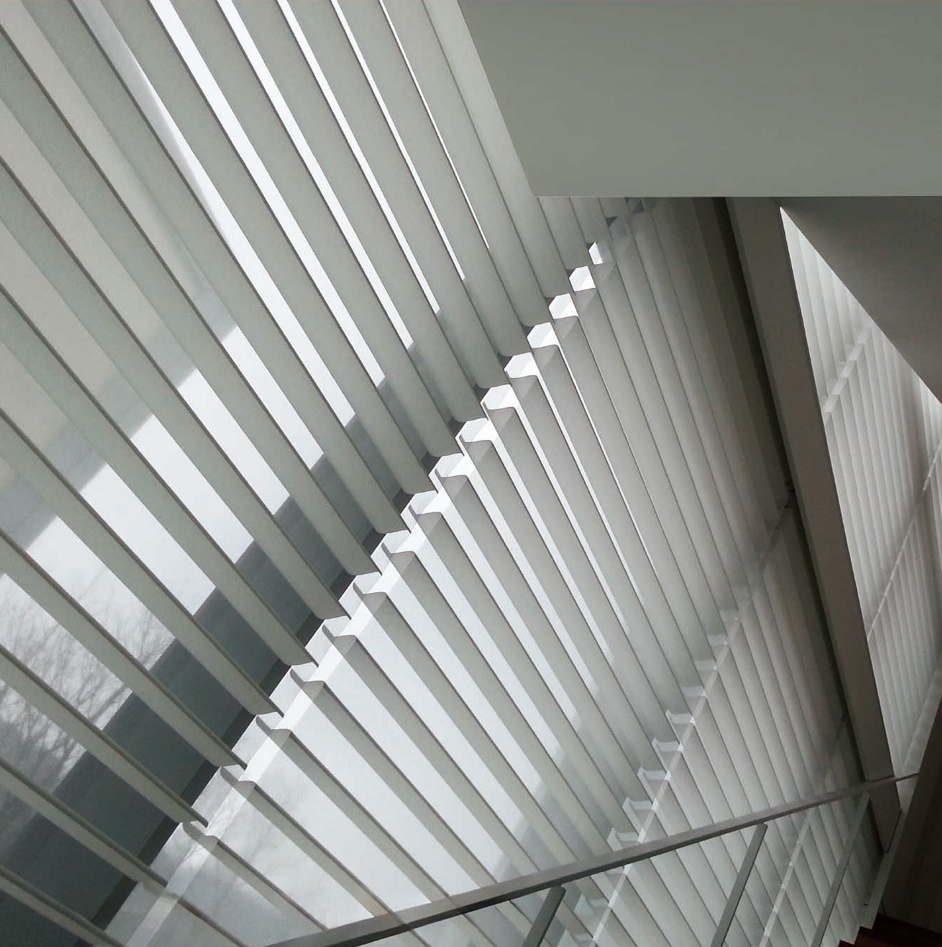 Shangrila River | RL Luxe Sheer Shades